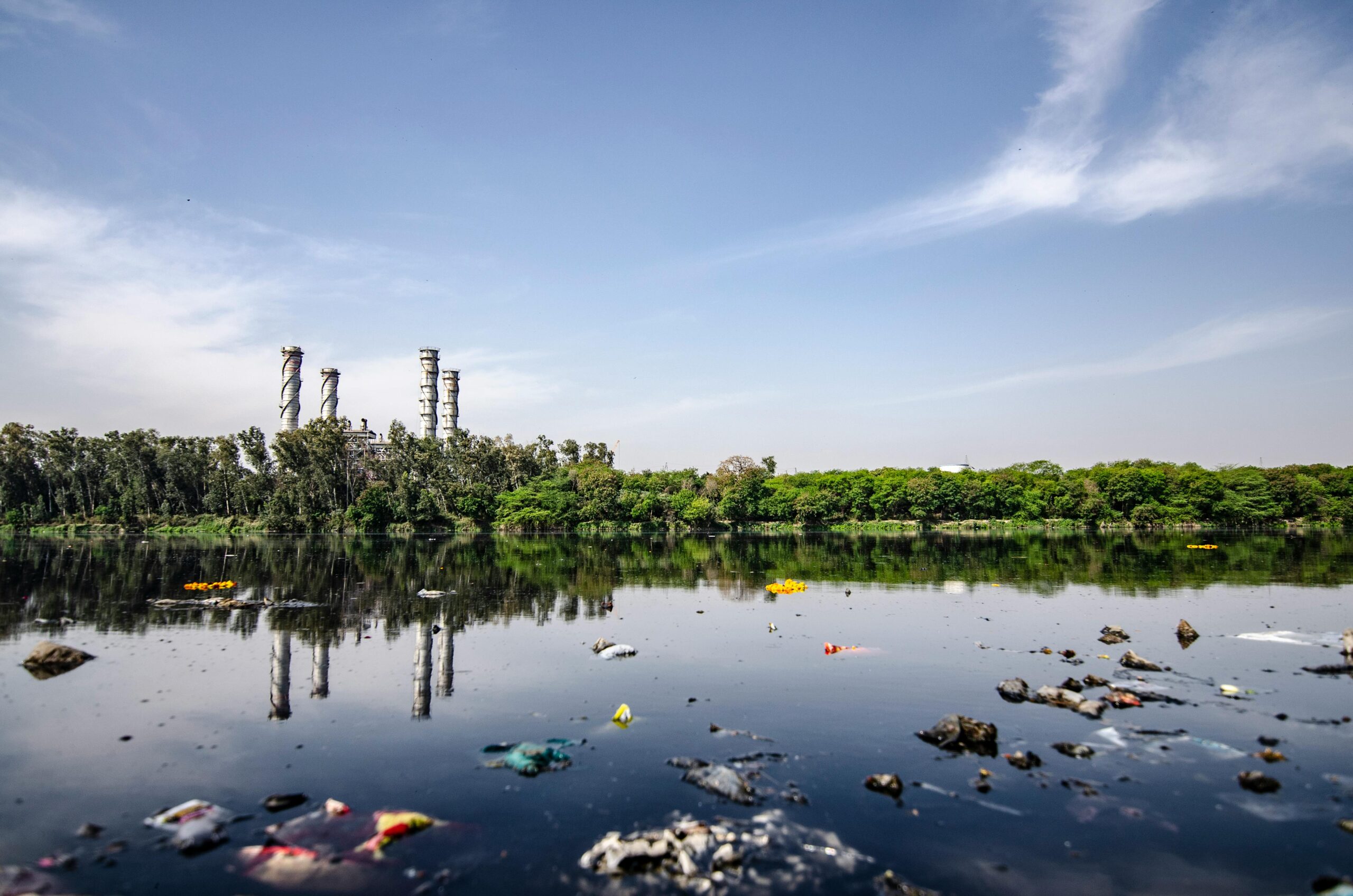 Medio ambiente y contaminación acuática